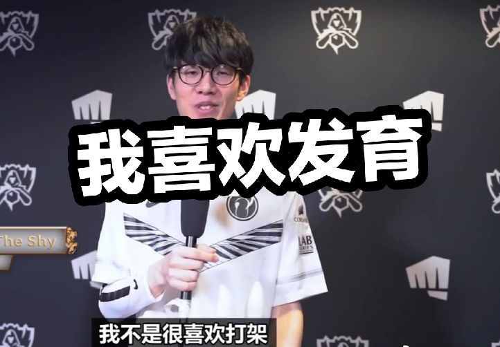 小样本冲击